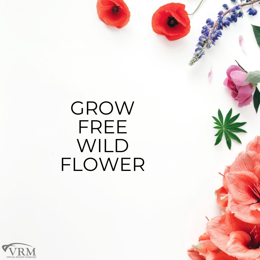 free spring wild flowers quotes