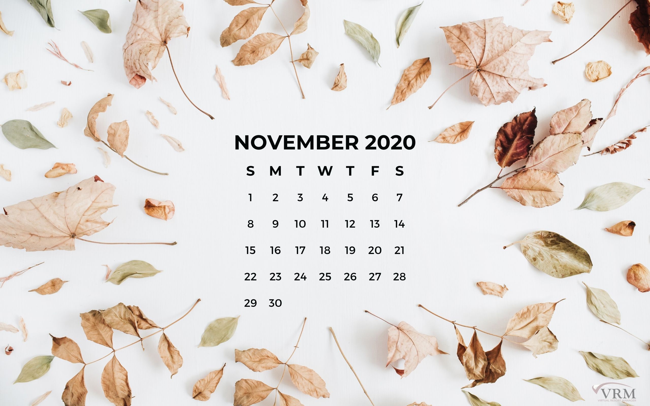 November VRM Monthly Marketing Planner and Free Desktop Wallpaper Calendars